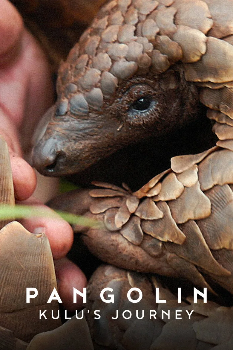 Pangolin: Kulu'nun Yolculuğu